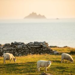 small-The Skellig Islands, Co. Kerry